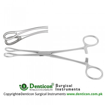 Foerster Sponge Holding Forcep Curved Stainless Steel, 20 cm - 8"